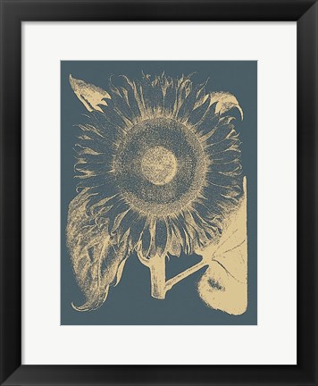 Framed Sunflower 2 Print