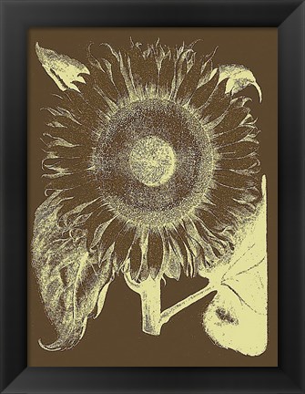 Framed Sunflower 3 Print