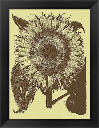 Framed Sunflower 4 Print