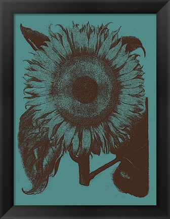 Framed Sunflower 5 Print