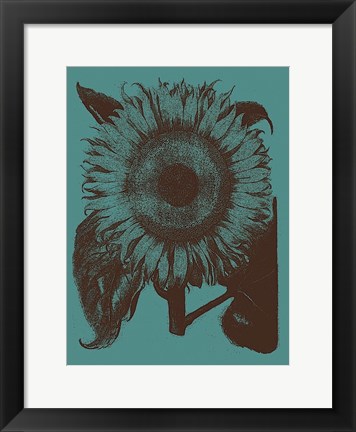 Framed Sunflower 5 Print