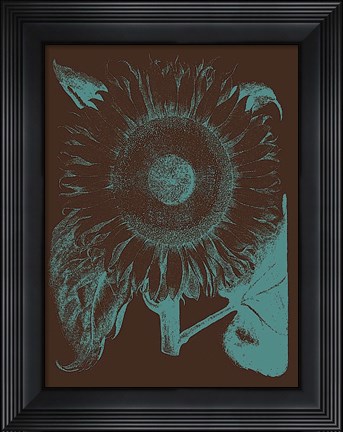 Framed Sunflower 6 Print