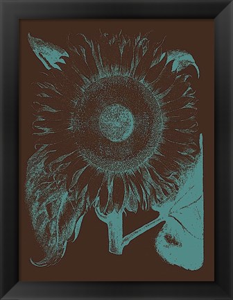 Framed Sunflower 6 Print