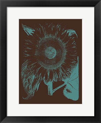 Framed Sunflower 6 Print