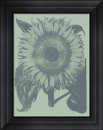 Framed Sunflower 8 Print