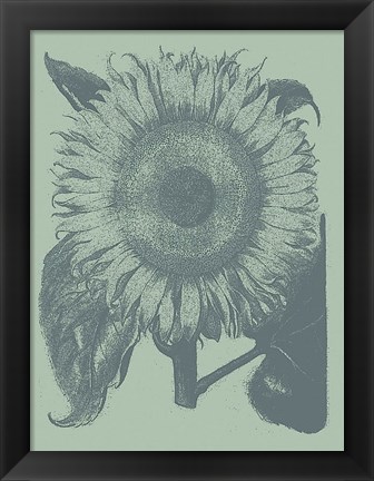 Framed Sunflower 8 Print