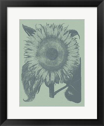 Framed Sunflower 8 Print