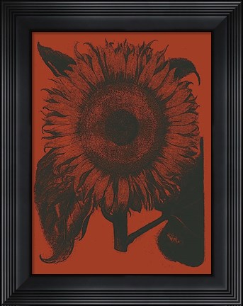 Framed Sunflower 9 Print