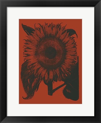 Framed Sunflower 9 Print