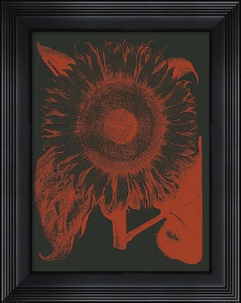 Framed Sunflower 10 Print