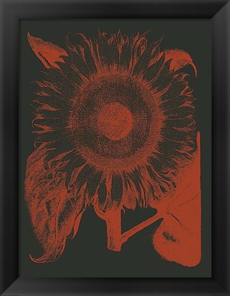 Framed Sunflower 10 Print