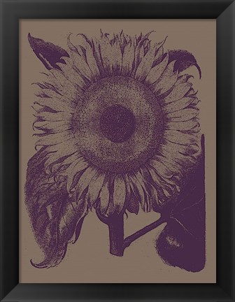 Framed Sunflower 14 Print