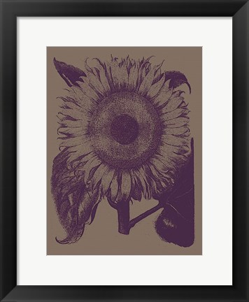 Framed Sunflower 14 Print