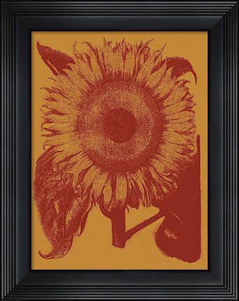 Framed Sunflower 15 Print