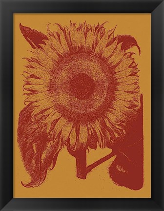 Framed Sunflower 15 Print