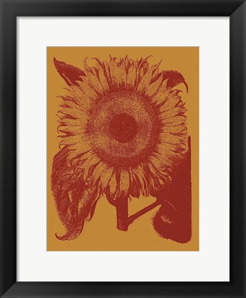 Framed Sunflower 15 Print