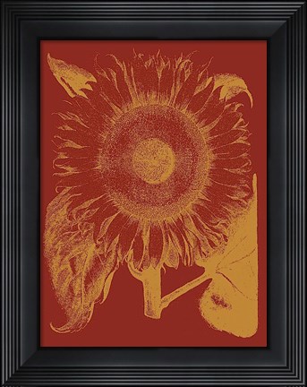 Framed Sunflower 16 Print