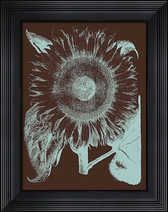 Framed Sunflower 17 Print