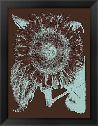 Framed Sunflower 17 Print