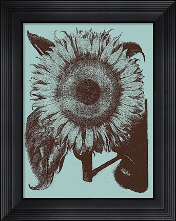 Framed Sunflower 18 Print