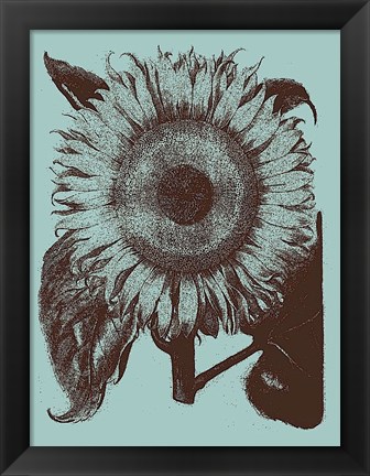 Framed Sunflower 18 Print