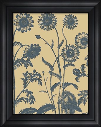 Framed Chrysanthemum 1 Print
