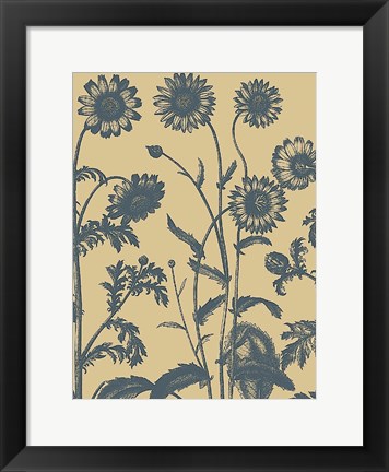 Framed Chrysanthemum 1 Print