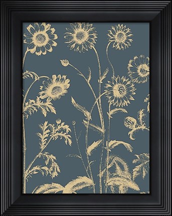 Framed Chrysanthemum 2 Print