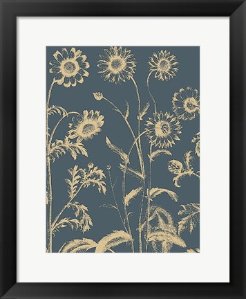 Framed Chrysanthemum 2 Print