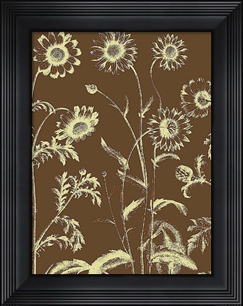 Framed Chrysanthemum 3 Print