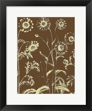 Framed Chrysanthemum 3 Print