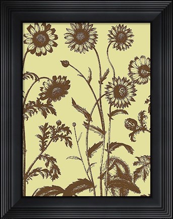 Framed Chrysanthemum 4 Print