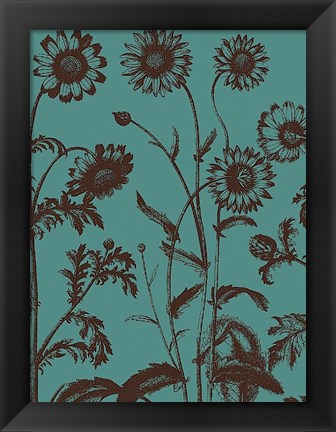 Framed Chrysanthemum 5 Print