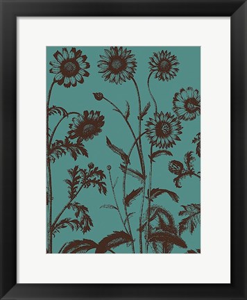 Framed Chrysanthemum 5 Print