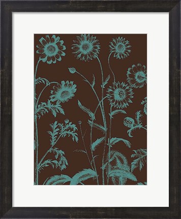Framed Chrysanthemum 6 Print
