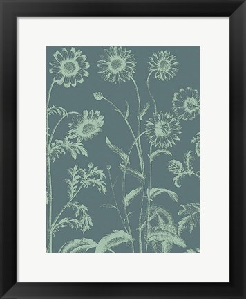 Framed Chrysanthemum 7 Print