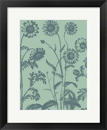 Framed Chrysanthemum 8 Print