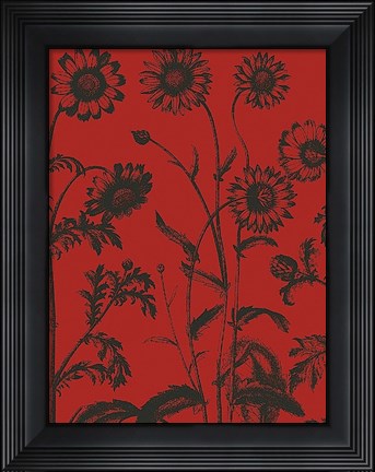 Framed Chrysanthemum 9 Print