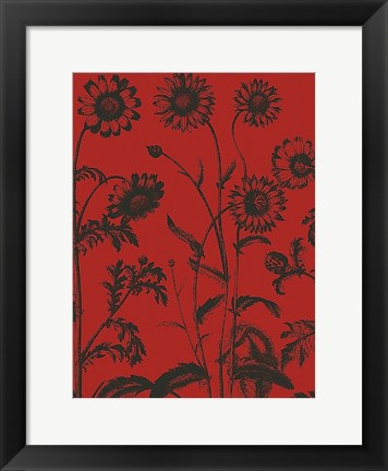 Framed Chrysanthemum 9 Print