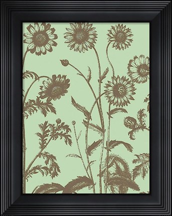 Framed Chrysanthemum 11 Print