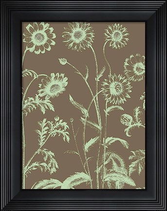 Framed Chrysanthemum 12 Print