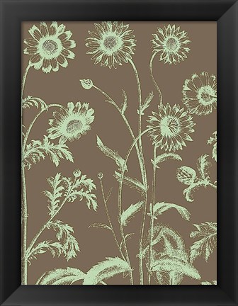 Framed Chrysanthemum 12 Print