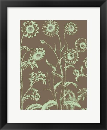 Framed Chrysanthemum 12 Print