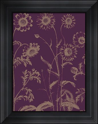 Framed Chrysanthemum 13 Print