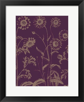 Framed Chrysanthemum 13 Print