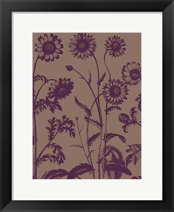 Framed Chrysanthemum 14 Print