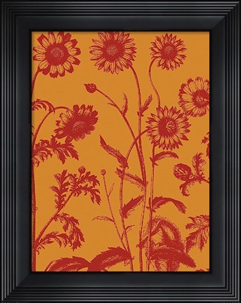 Framed Chrysanthemum 15 Print