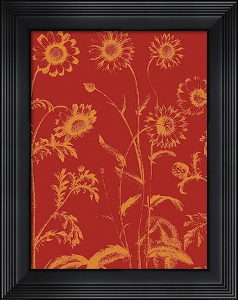 Framed Chrysanthemum 16 Print