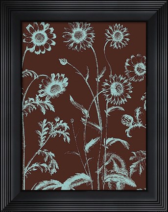 Framed Chrysanthemum 17 Print