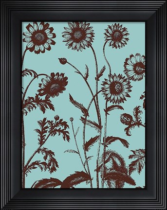 Framed Chrysanthemum 18 Print